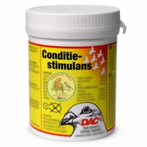 תוסף תזונה ממריץ DAC קונדישן סטימולנט – Condition Stimulant LD007, צנצנת 100 גרם עם מינון לפי משקל גוף
