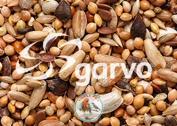תקריב זרעים להמחשה בעמוד GARVO 9111 לציפורי אהבה, עם לוגו טריפל פט