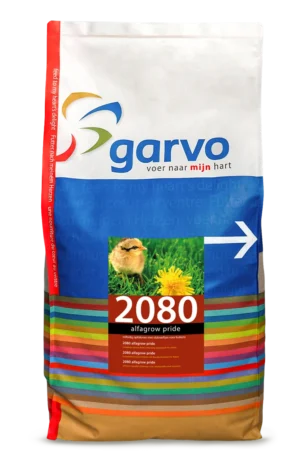 שק GARVO 2080 Alfagrow Pride מזון גידול לאפרוחים מגיל 3 שבועות