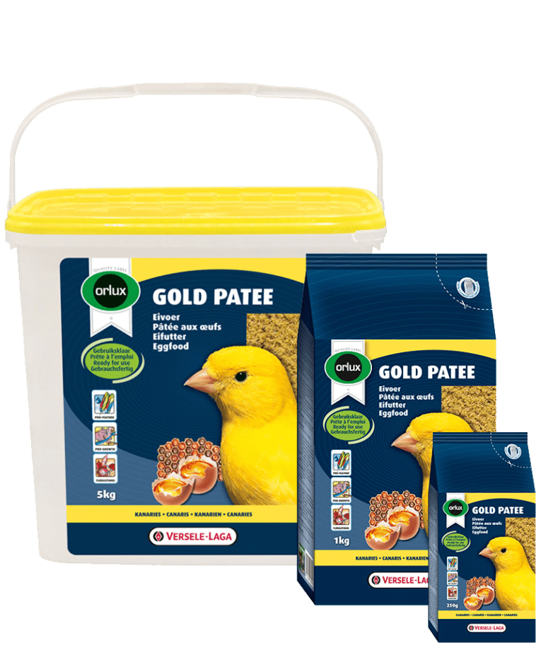 מזון ביצים צהוב רטוב מקצועי לכנרים פינקים ותוכים של ורסלה לגה