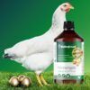 HENNENGOLD ROHNFRIED 1 LITRE 3