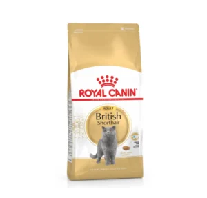 Royal Canin British Shorthair Adult מזון לחתול בריטי בוגר