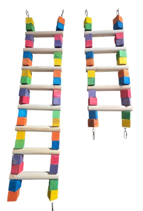 סולם לתוכי גדול צבעוני – צעצוע טיפוס מעץ טבעי לתוכים גדולים ובינוניים