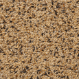 Delinature 80 Canaries Breeding Without Rapeseed 20 KG 2