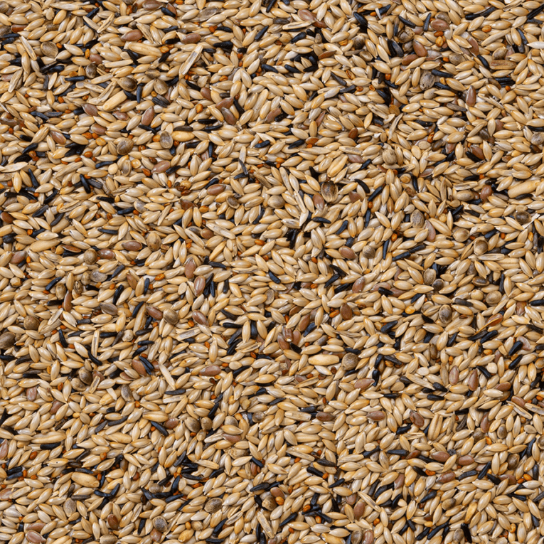 Delinature 80 Canaries Breeding Without Rapeseed 20 KG 2