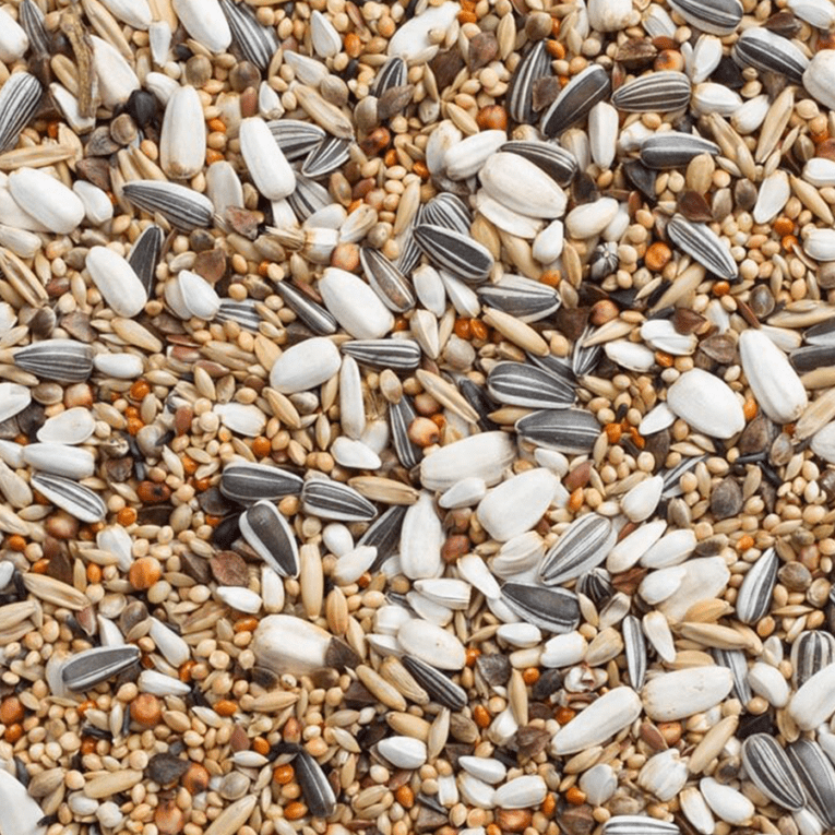 Delinature P8 parakeets 20 KG 2