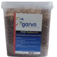 תולעי קמח GARVO מיובשות