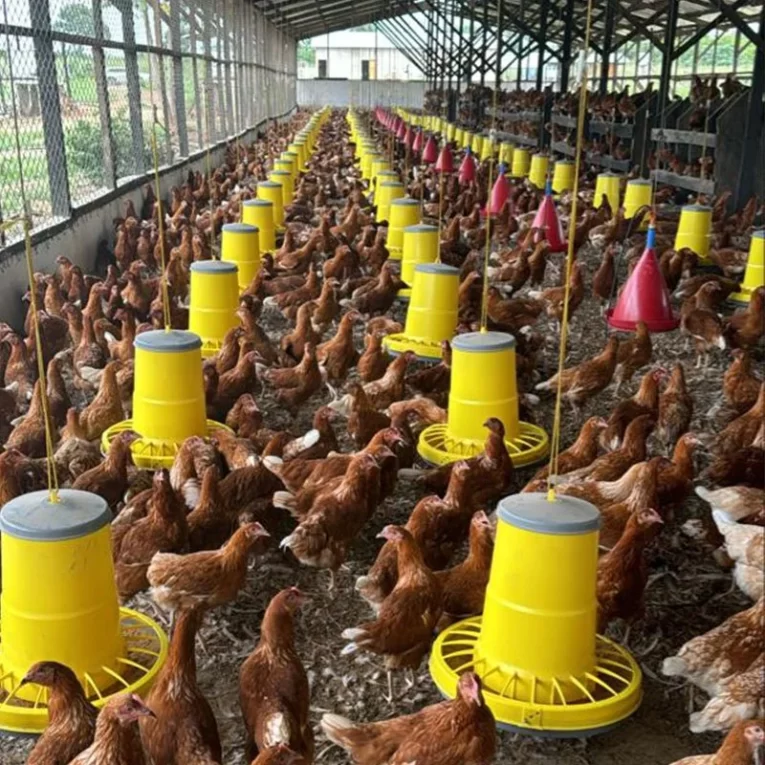 כלי לאוכל תוצרת איטליה 12 ליטר לעופות