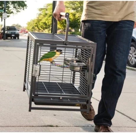 כלוב נשיאה לתוכים ו־כלוב טיולים לתוכים