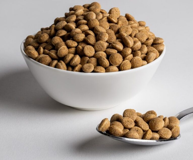 כופתיות לתוכים גדולים על בסיס אגוזים וזרעים – Wisbroek Parrot Nut Blend Daily Large