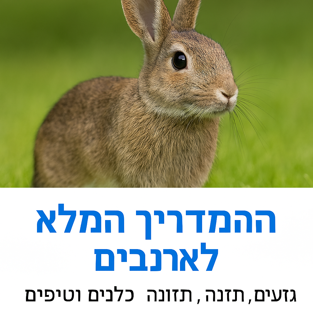 ארנב חום יושב על דשא ירוק, המדריך המלא לארנבים – גזעים, תזונה, כלובים וטיפים לטיפול