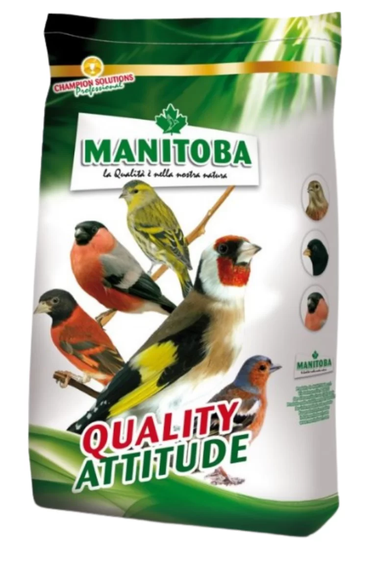 תערובת זרעי בר MANITOBA Cardellino 3000 לציפורי בר וחוחיות