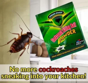 פיתיון ג’וקים קוטל לבית Cockroach Killing Bait