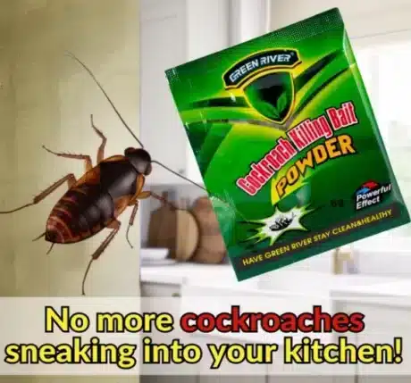 פיתיון ג’וקים קוטל לבית – פתרון מהיר נגד תיקנים 5 גרם