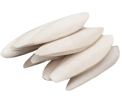 סבידה טבעית לכנרים תוכים ופינקים לפי משקל