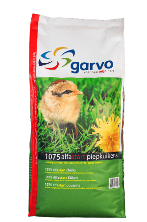 GARVO-1075-alfastart-chicks