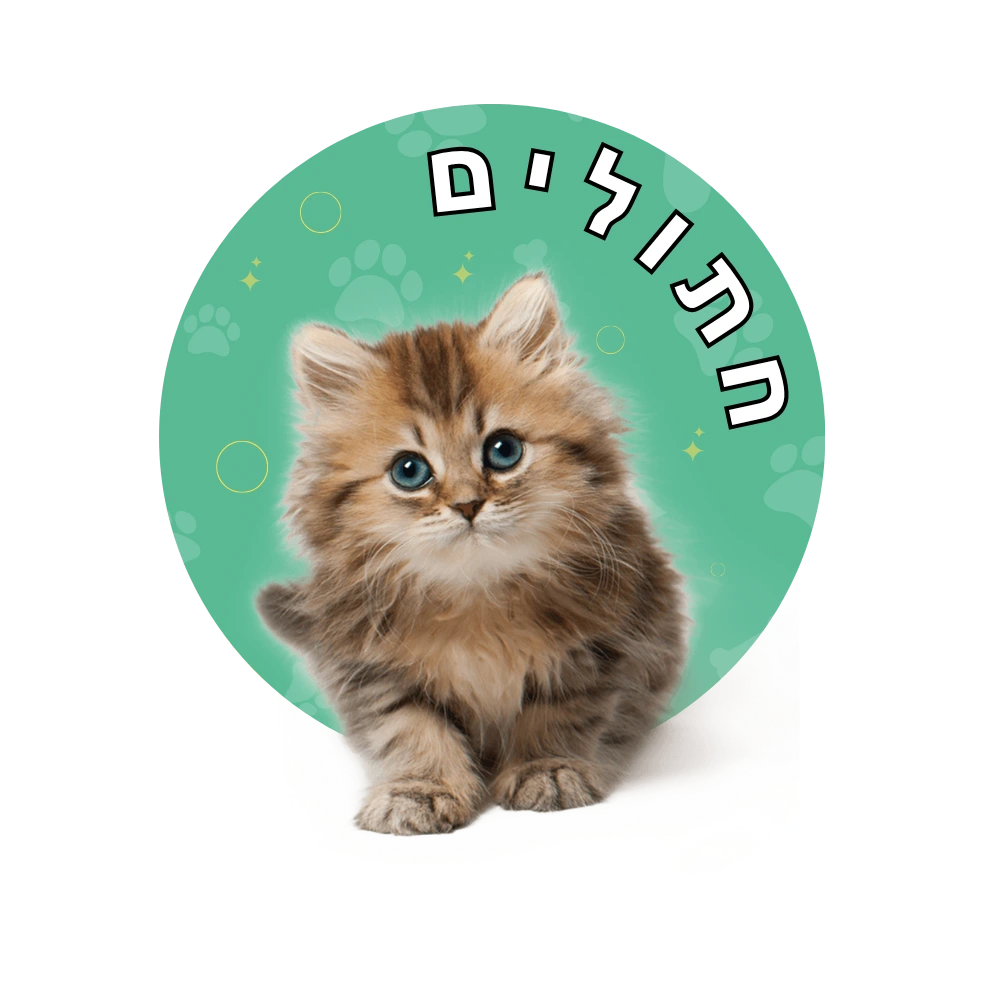 קטגוריית חתולים