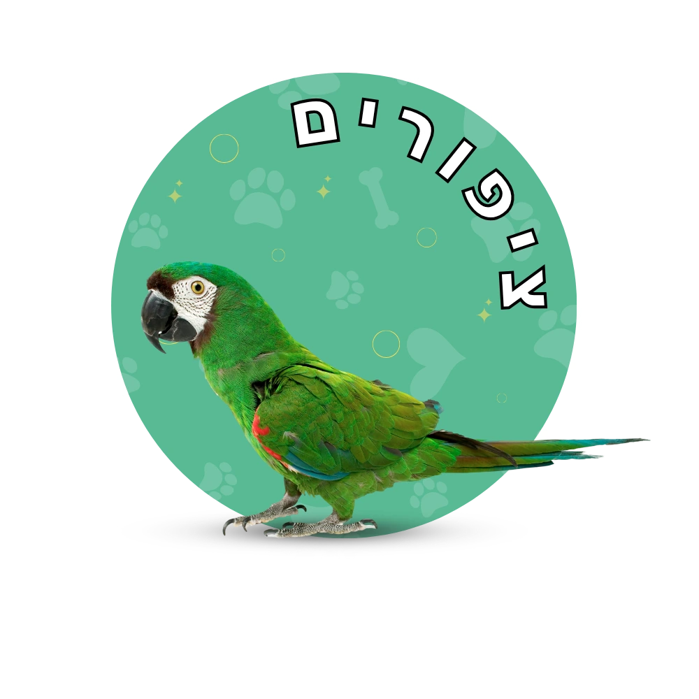 קטגוריית ציפורים