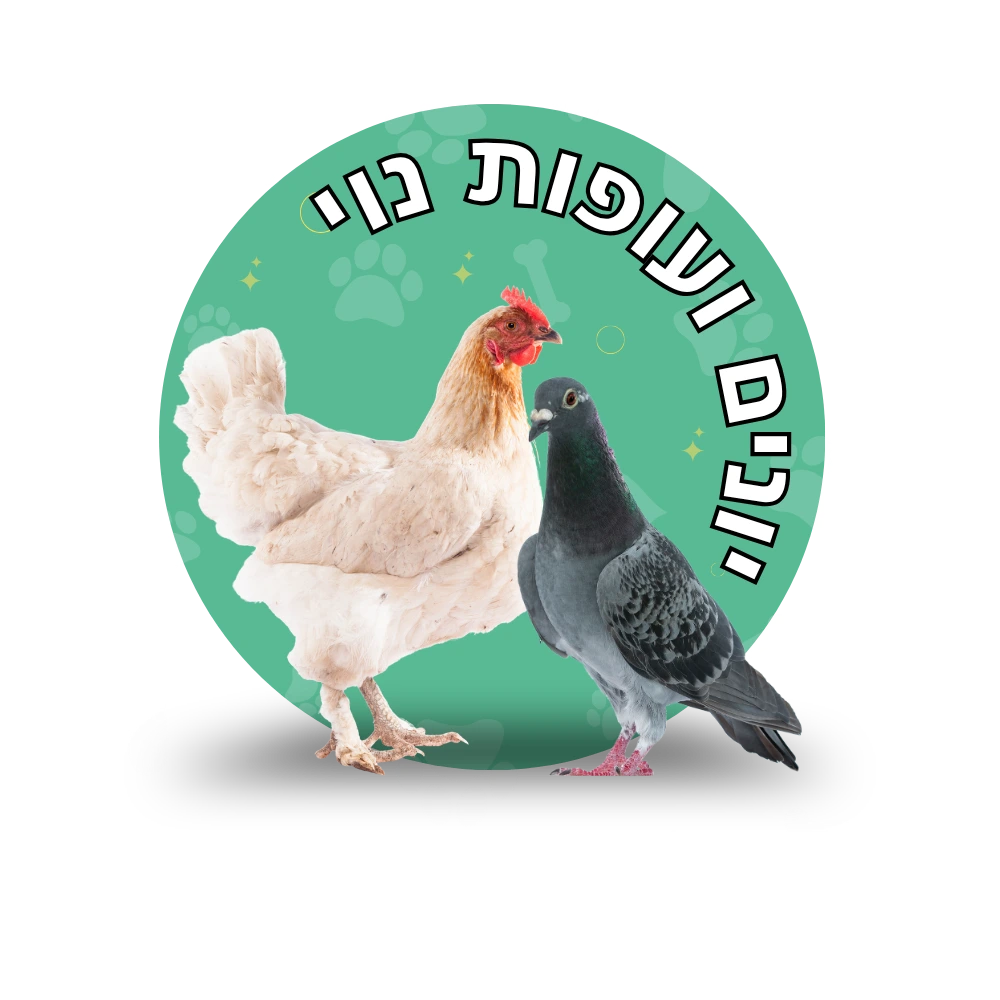 קטגוריית עופות נוי ויונים