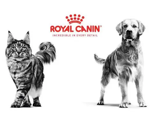 לוגו Royal Canin