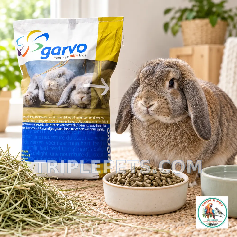 ארנב לצד GARVO 5065 כופתיות, חציר ומים