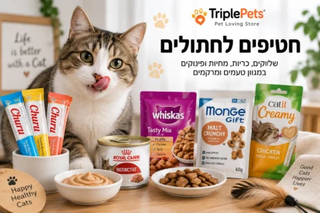 חטיפים לחתולים