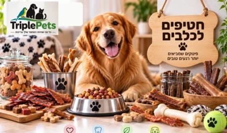 חטיפים לכלבים