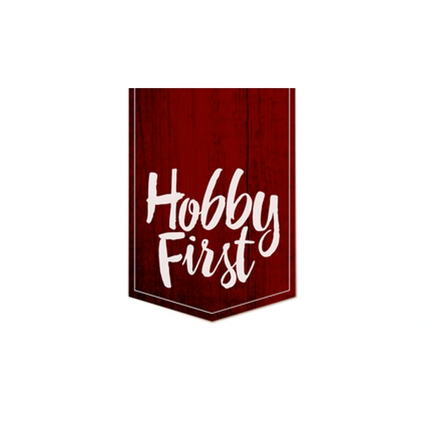 לוגו HOBBY FIRST