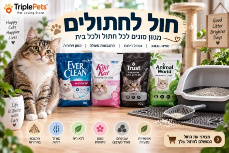 חול לחתולים