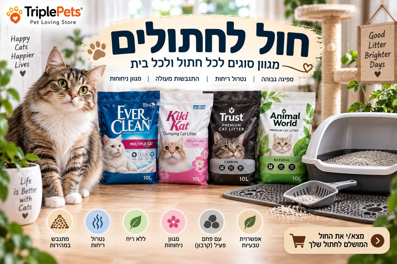 חול לחתולים