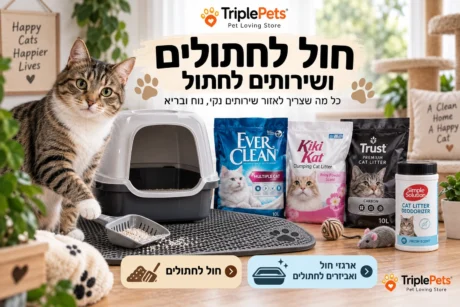 חול לחתולים ושירותים לחתול