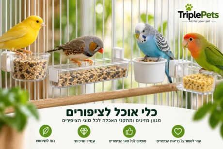 כלי אוכל ומזינים לציפורים
