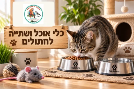 כלי אוכל ושתייה לחתולים