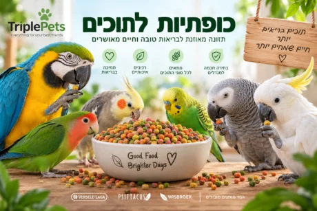 כופתיות לתוכים