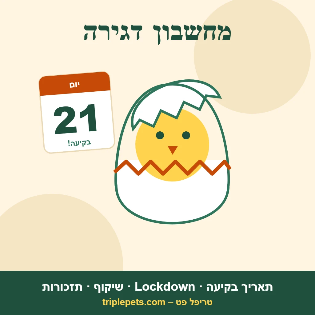 מחשבון דגירה של טריפל פט: אפרוח בוקע מביצה ולוח שנה של יום 21 – תאריך בקיעה, Lockdown ושיקוף