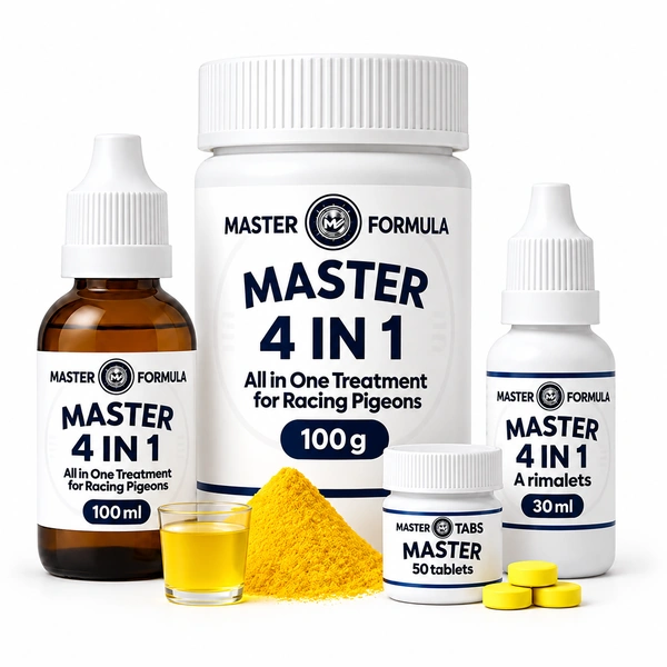 לוגו MASTER