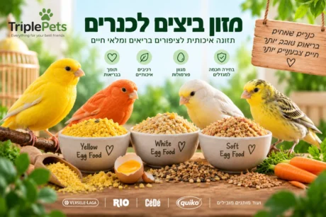 מזון ביצים לכנרים