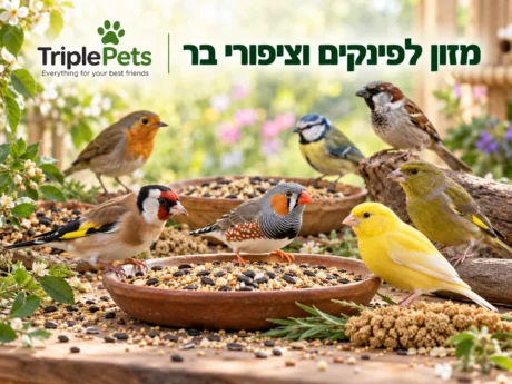 מזון לפינקים וציפורי בר