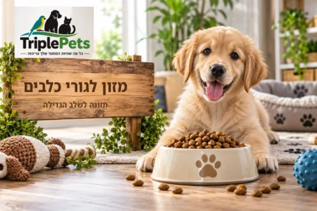מזון לגורי כלבים