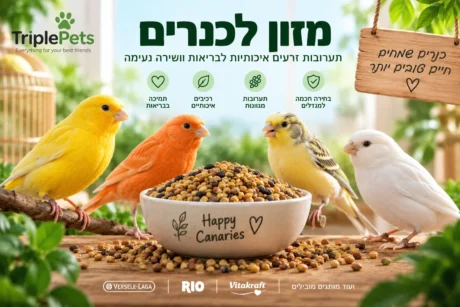 מזון לכנרים