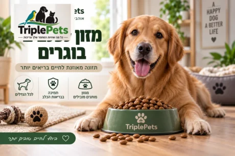 מזון לכלבים בוגרים