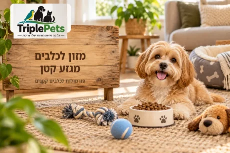 מזון לכלבים מגזע קטן