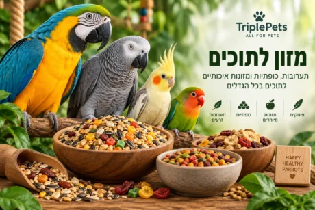 מזון לתוכים