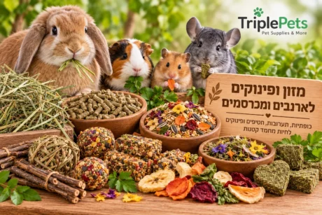 מזון ופינוקים לארנבים ומכרסמים