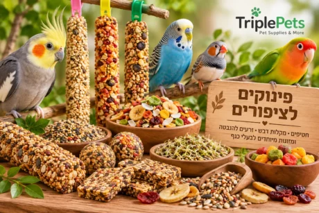 מזון מיוחד ופינוקים לבעלי כנף