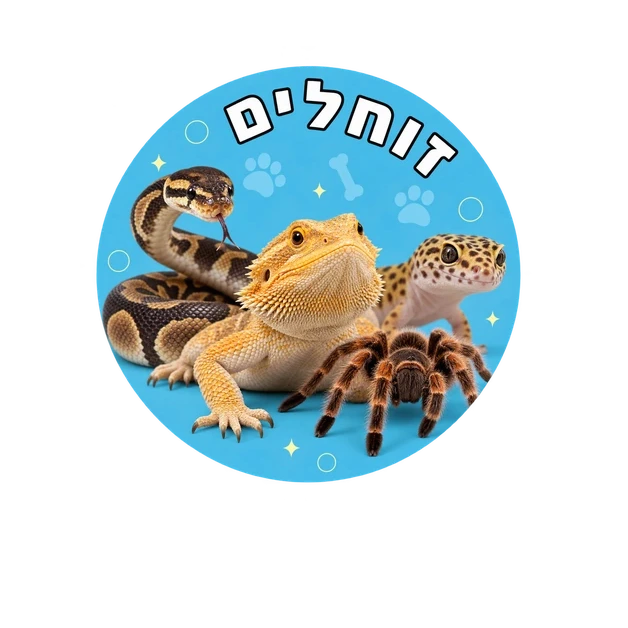 קטגוריית זוחלים