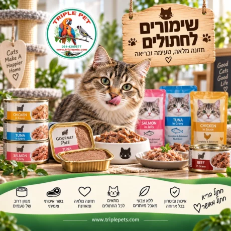 שימורים לחתולים