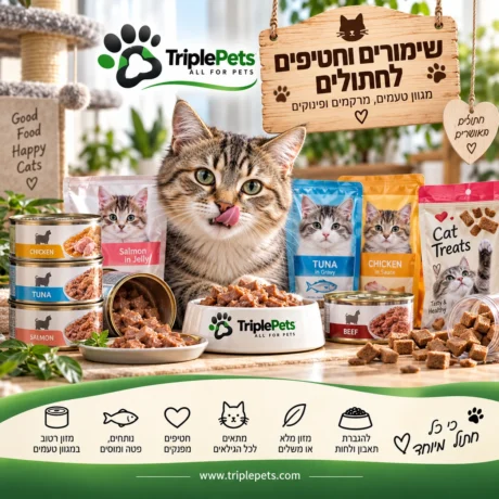 שימורים וחטיפים לחתולים