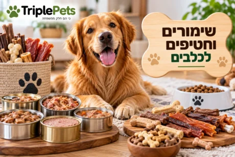 שימורים וחטיפים לכלבים
