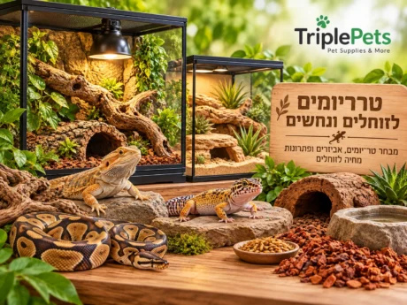טרריומים לזוחלים ונחשים